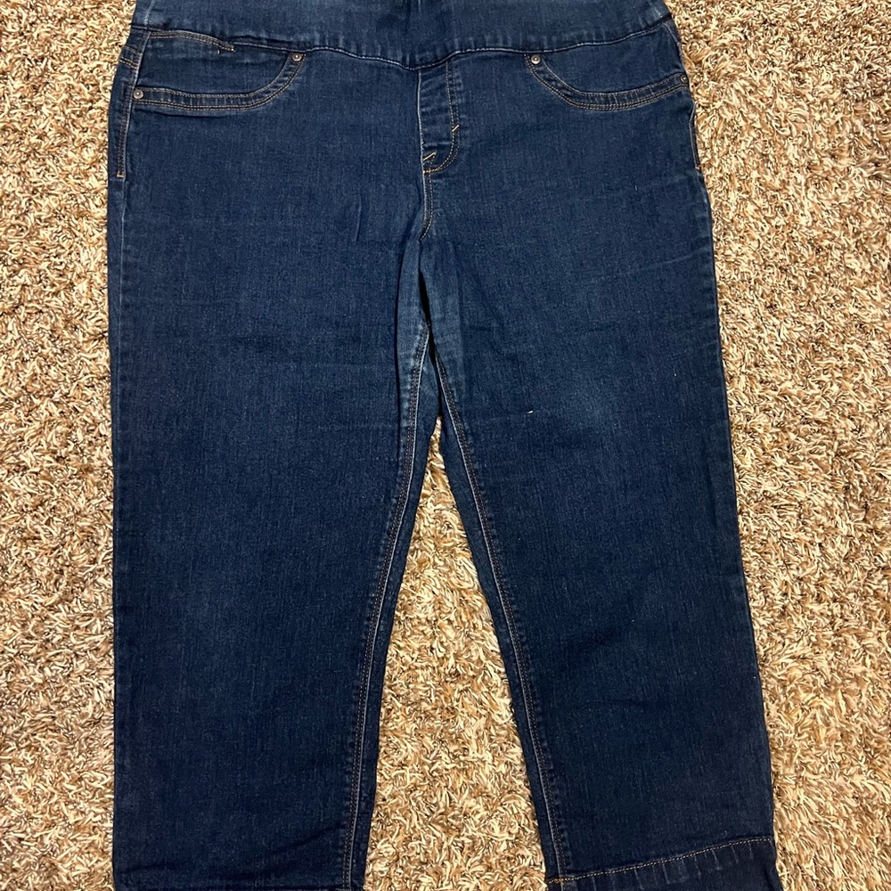 Style & Co Blue Capri Pants